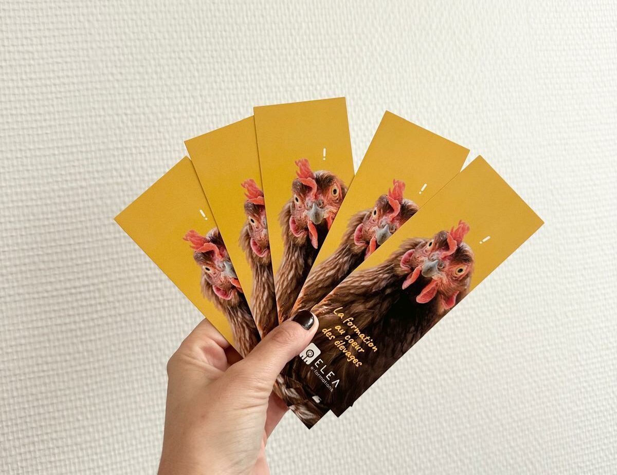 photo marque page elea